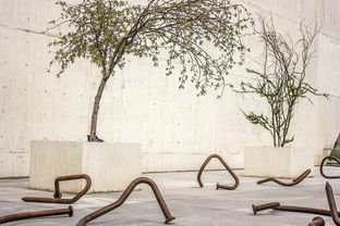 诗经中的女孩名字,古典之美的现代传承 诗经中的女孩名字,古典之美的现代传承