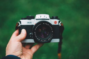 探索公司名字打分,免费工具与品牌命名的艺术 探索公司名字打分,免费工具与品牌命名的艺术