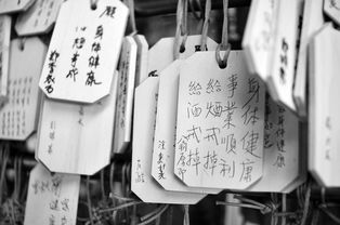 探索婚姻的奥秘，免费测试，无价之宝
